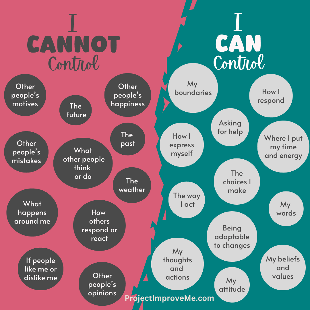 Infographic about what a person can control and what they cannot control made by Project Improve Me.
