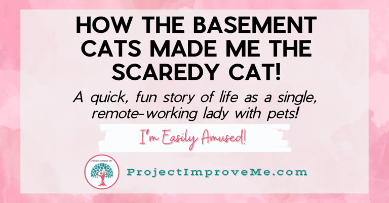The Basement Cats Almost Burned My House Down!